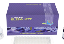 如何清洗ELISA酶标板