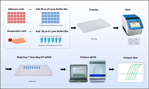 细胞裂解直接 RT-qPCR 试剂盒